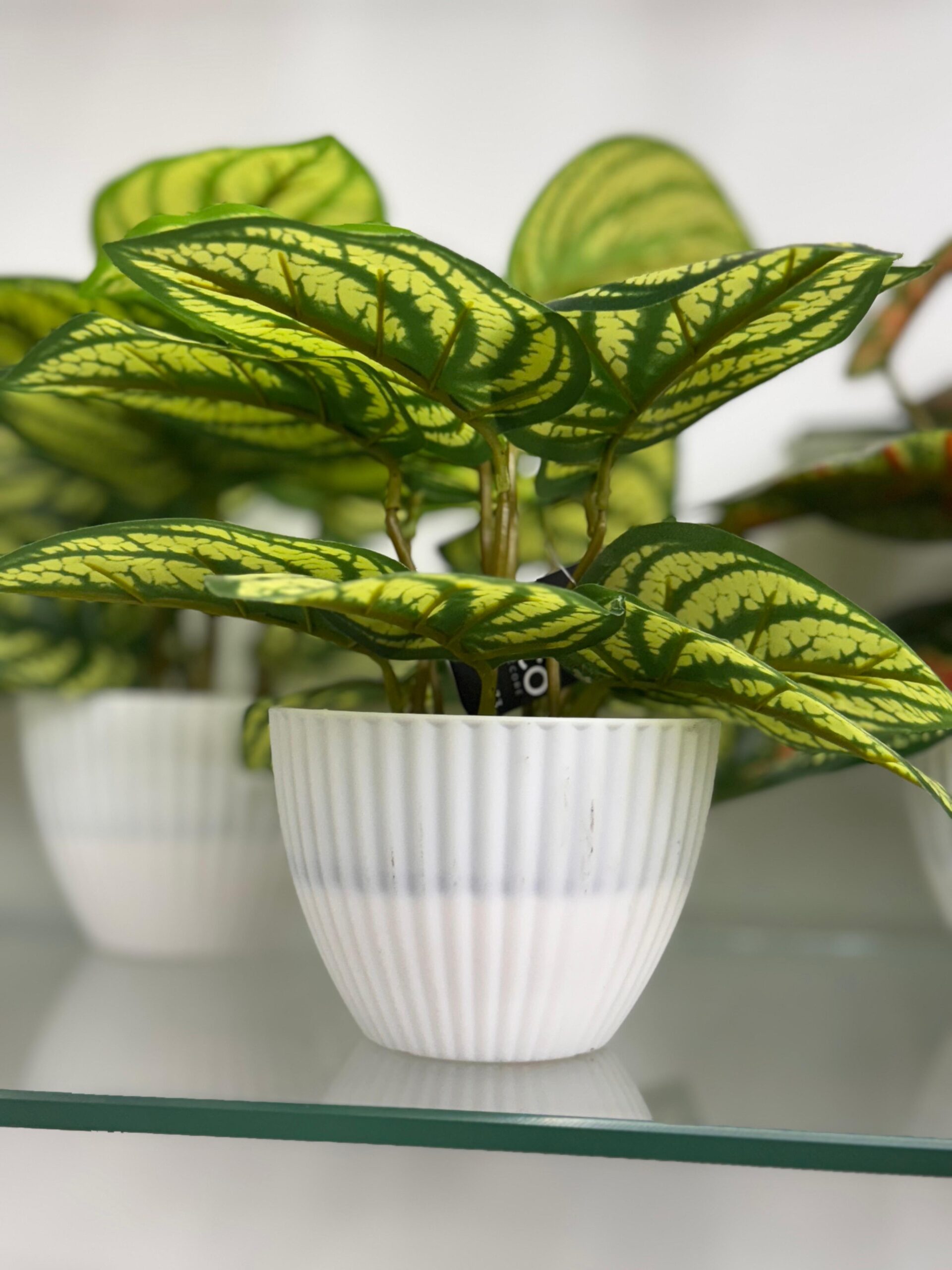 Artificial Plants stella pot color leaf set
