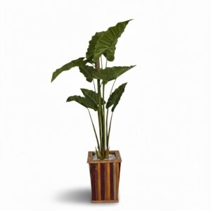 WOODEN ARTIFICIAL PLANT