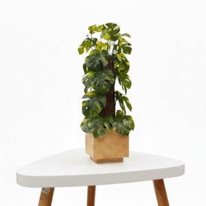 ARTIFICIAL PLANT