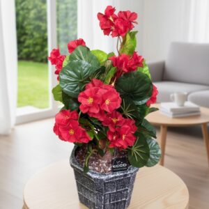 ARISTO FLOWER