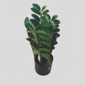 ARTIFICIAL PLANT