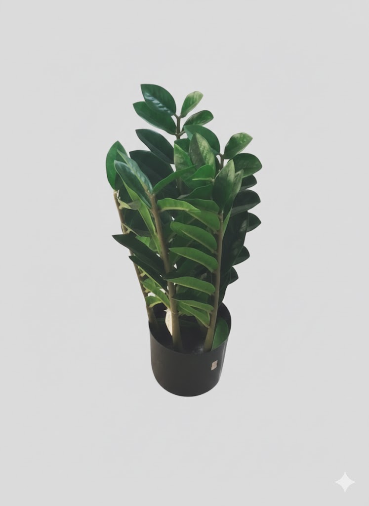 ARTIFICIAL PLANT