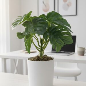 MONSTER LEAF BONSAI ARTIFICIAL PLANT
