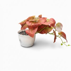 POPPY POT HANGING