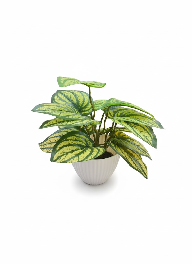 STELLA POT COLOUR LEAF