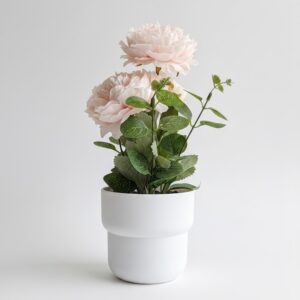 BLACK POT